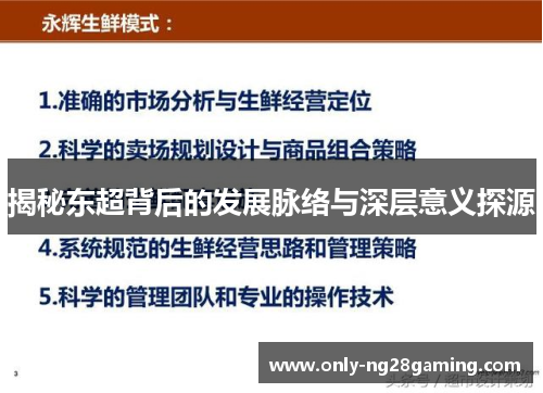 揭秘东超背后的发展脉络与深层意义探源